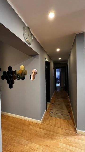 Sol-modern With Garden-sodic New * Cairo