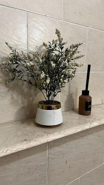 Sol-modern With Garden-sodic New Apartment