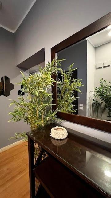 Apartment Sol-modern With Garden-sodic New *