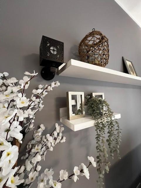 Sol-modern With Garden-sodic New