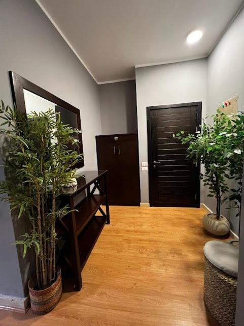 Apartment Sol-modern With Garden-sodic New
