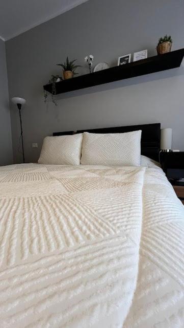 Sol-modern With Garden-sodic New Apartment Cairo