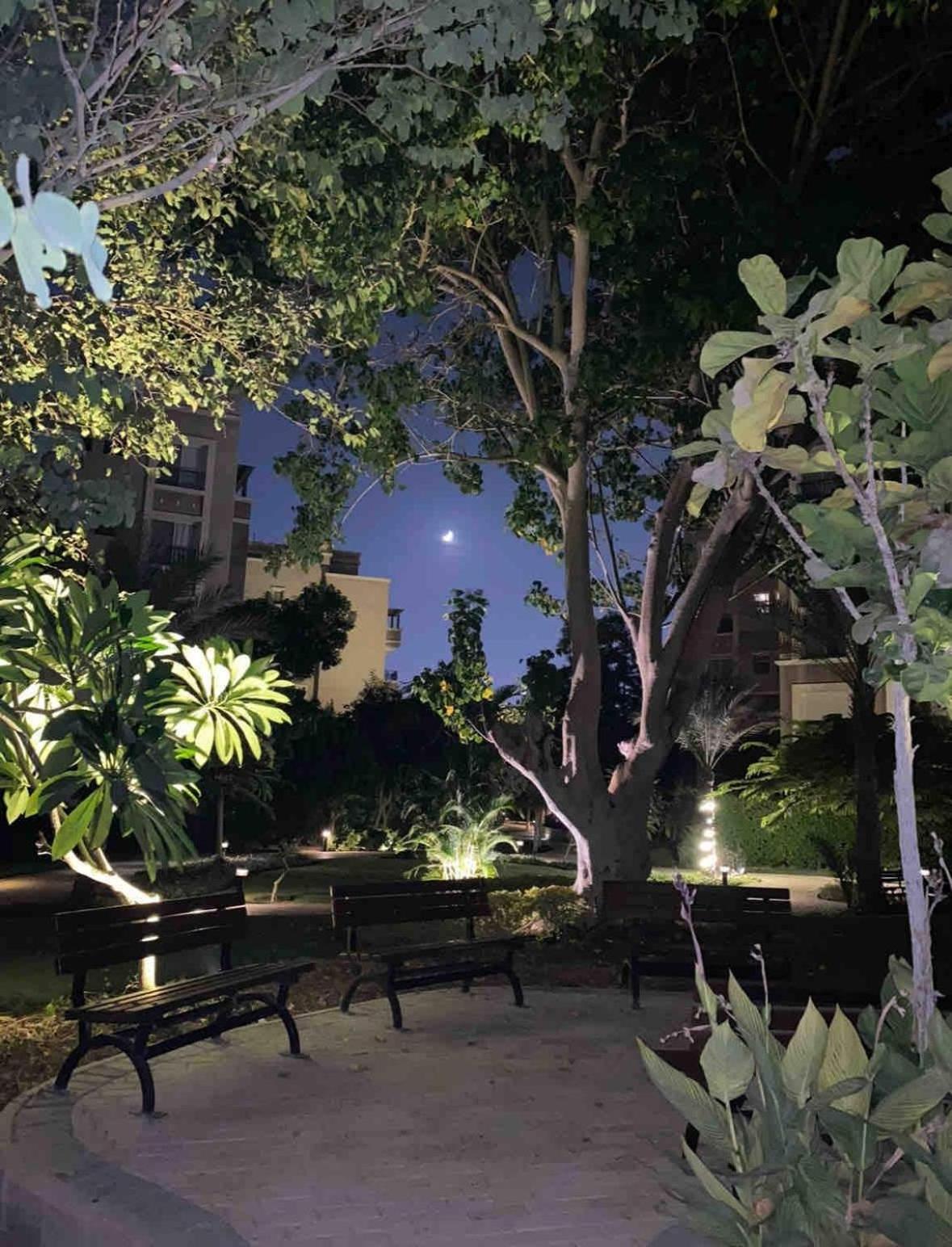 Sol-modern With Garden-sodic New